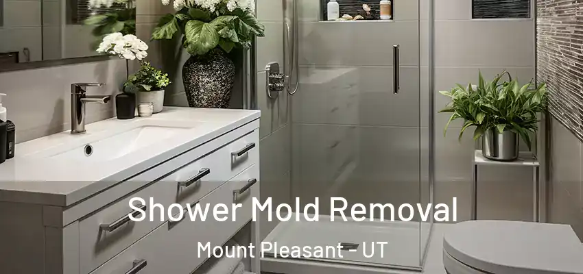  Shower Mold Removal Mount Pleasant - UT
