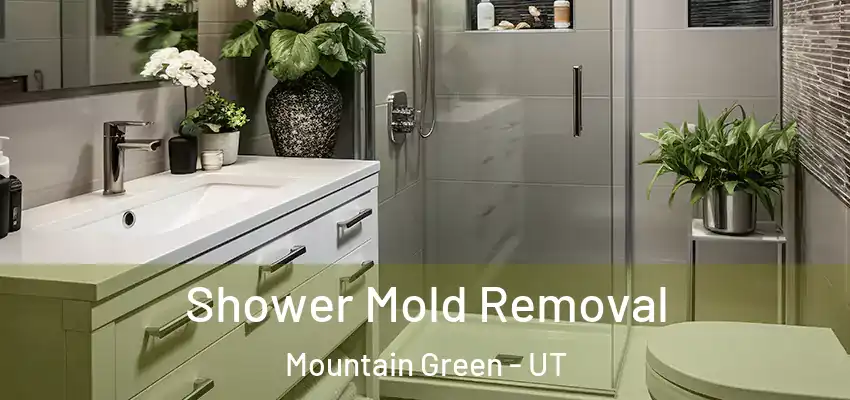  Shower Mold Removal Mountain Green - UT