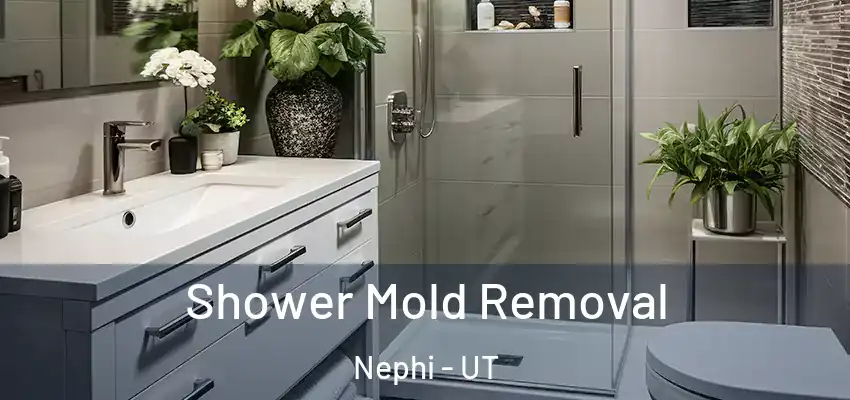 Shower Mold Removal Nephi - UT
