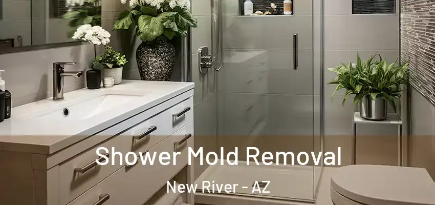 Shower Mold Removal New River - AZ