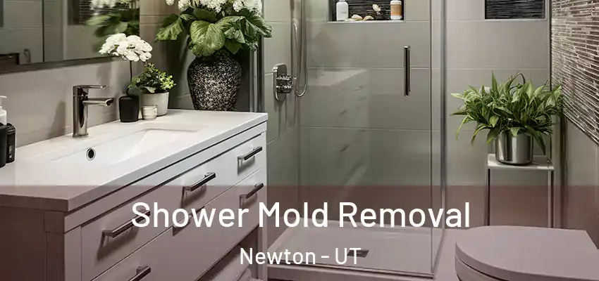  Shower Mold Removal Newton - UT