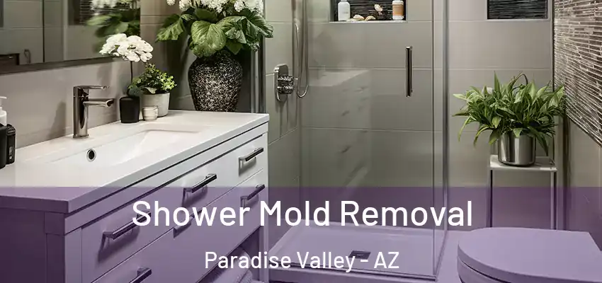  Shower Mold Removal Paradise Valley - AZ