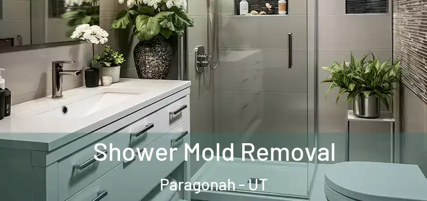  Shower Mold Removal Paragonah - UT