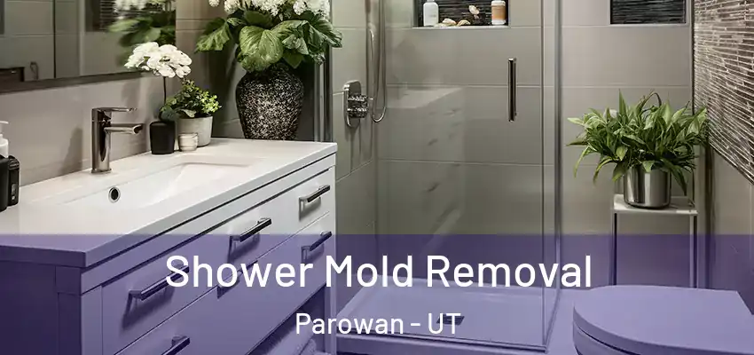  Shower Mold Removal Parowan - UT