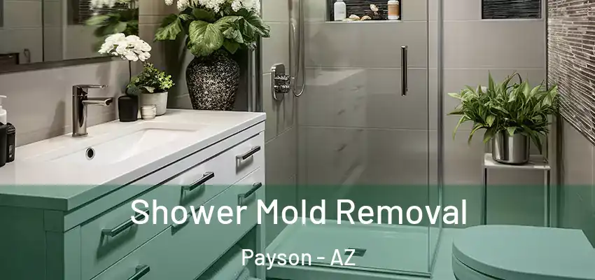 Shower Mold Removal Payson - AZ