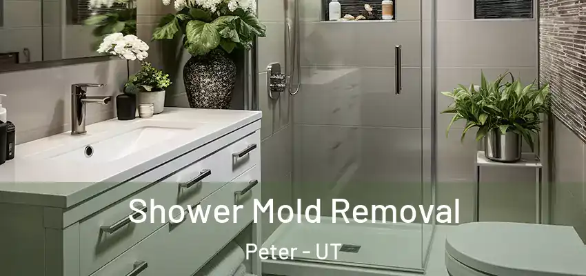  Shower Mold Removal Peter - UT