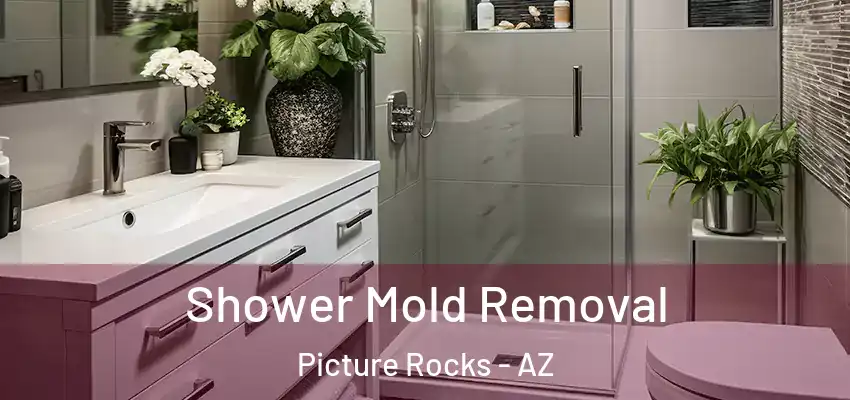 Shower Mold Removal Picture Rocks - AZ