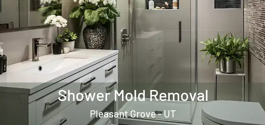 Shower Mold Removal Pleasant Grove - UT