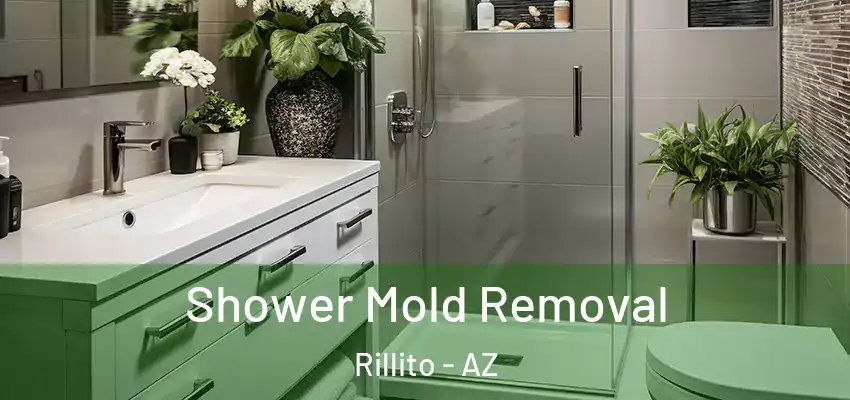  Shower Mold Removal Rillito - AZ
