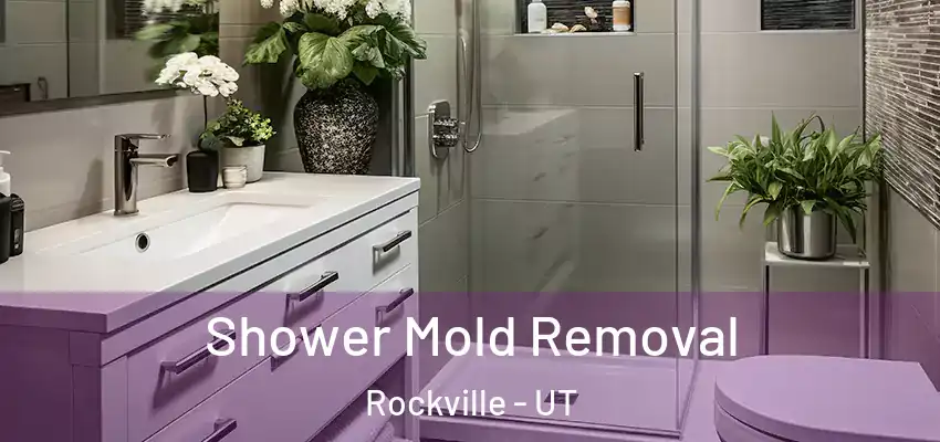  Shower Mold Removal Rockville - UT