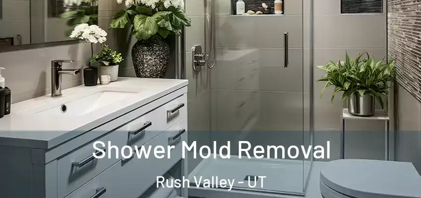 Shower Mold Removal Rush Valley - UT
