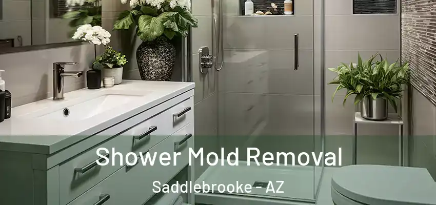 Shower Mold Removal Saddlebrooke - AZ