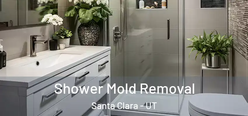 Shower Mold Removal Santa Clara - UT