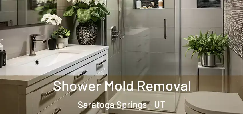  Shower Mold Removal Saratoga Springs - UT