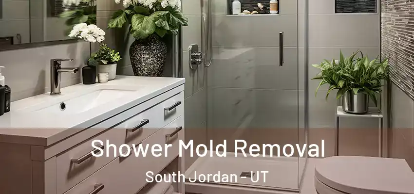 Shower Mold Removal South Jordan - UT