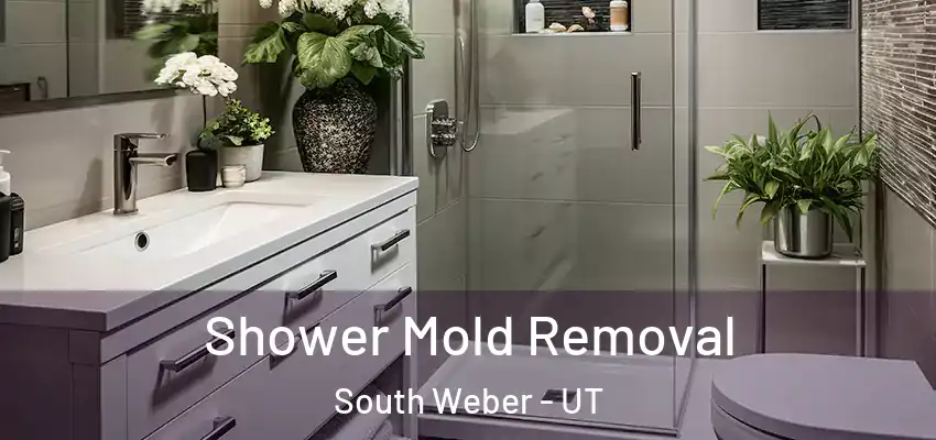  Shower Mold Removal South Weber - UT