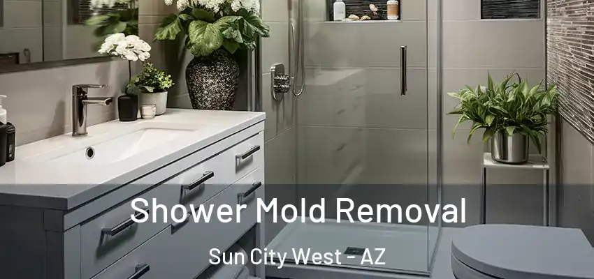 Shower Mold Removal Sun City West - AZ