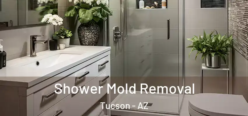 Shower Mold Removal Tucson - AZ