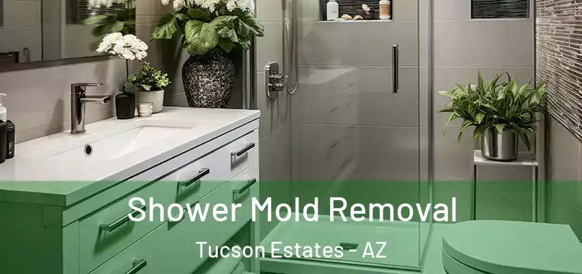  Shower Mold Removal Tucson Estates - AZ