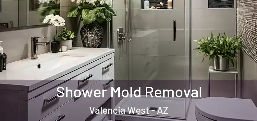  Shower Mold Removal Valencia West - AZ