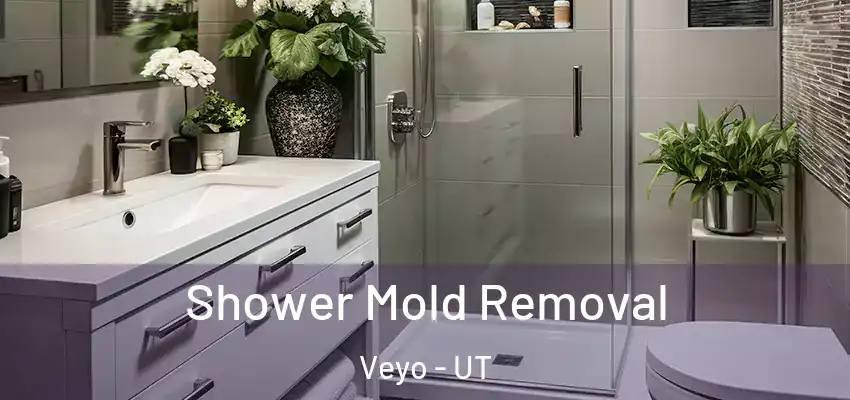  Shower Mold Removal Veyo - UT