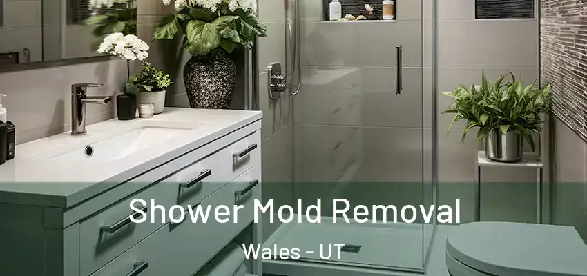 Shower Mold Removal Wales - UT