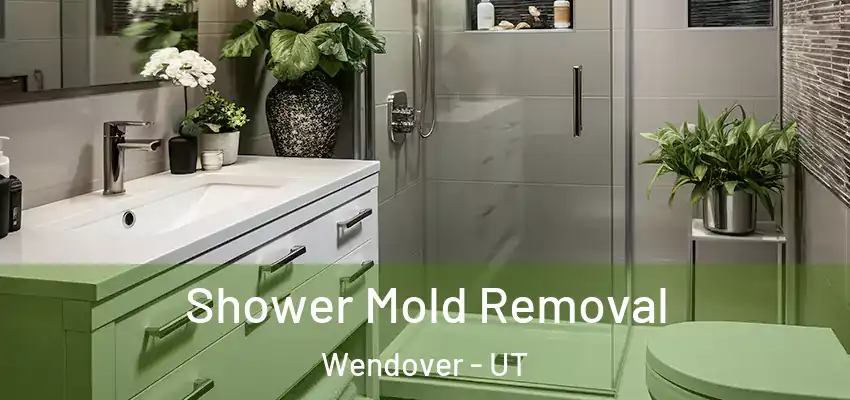  Shower Mold Removal Wendover - UT