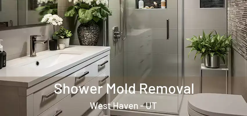  Shower Mold Removal West Haven - UT