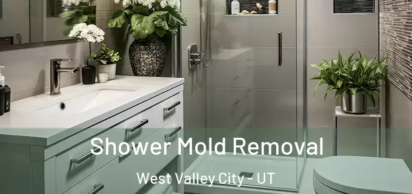  Shower Mold Removal West Valley City - UT