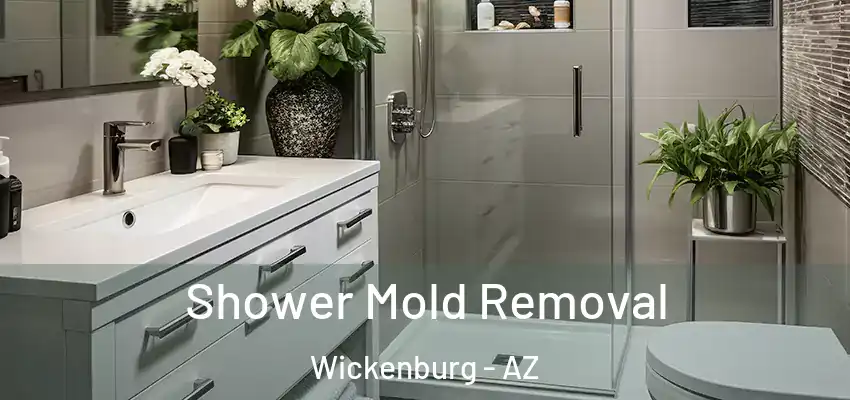Shower Mold Removal Wickenburg - AZ