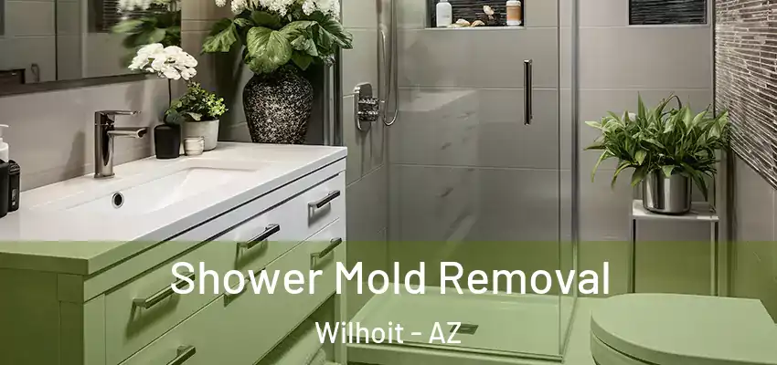  Shower Mold Removal Wilhoit - AZ